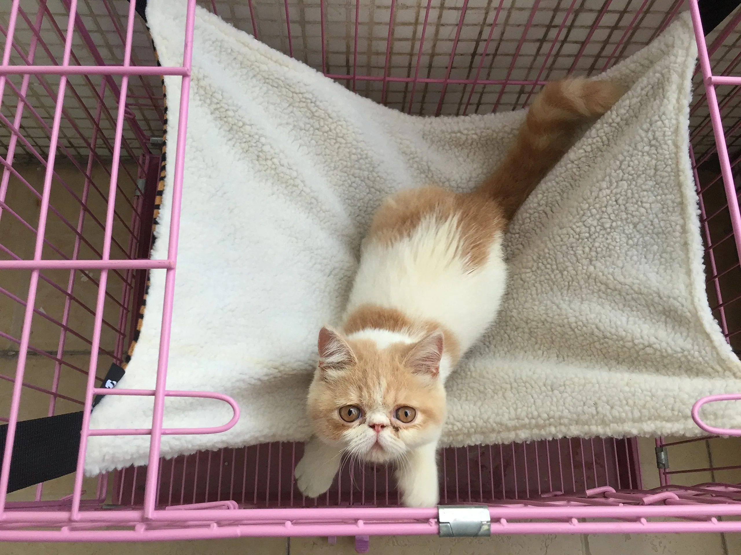 Cat Hammock - UsefulThingy