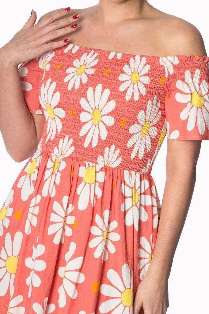 Crazy Daisy Plus Size Smock Dress