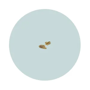 Flow Gold Stud Earring #3