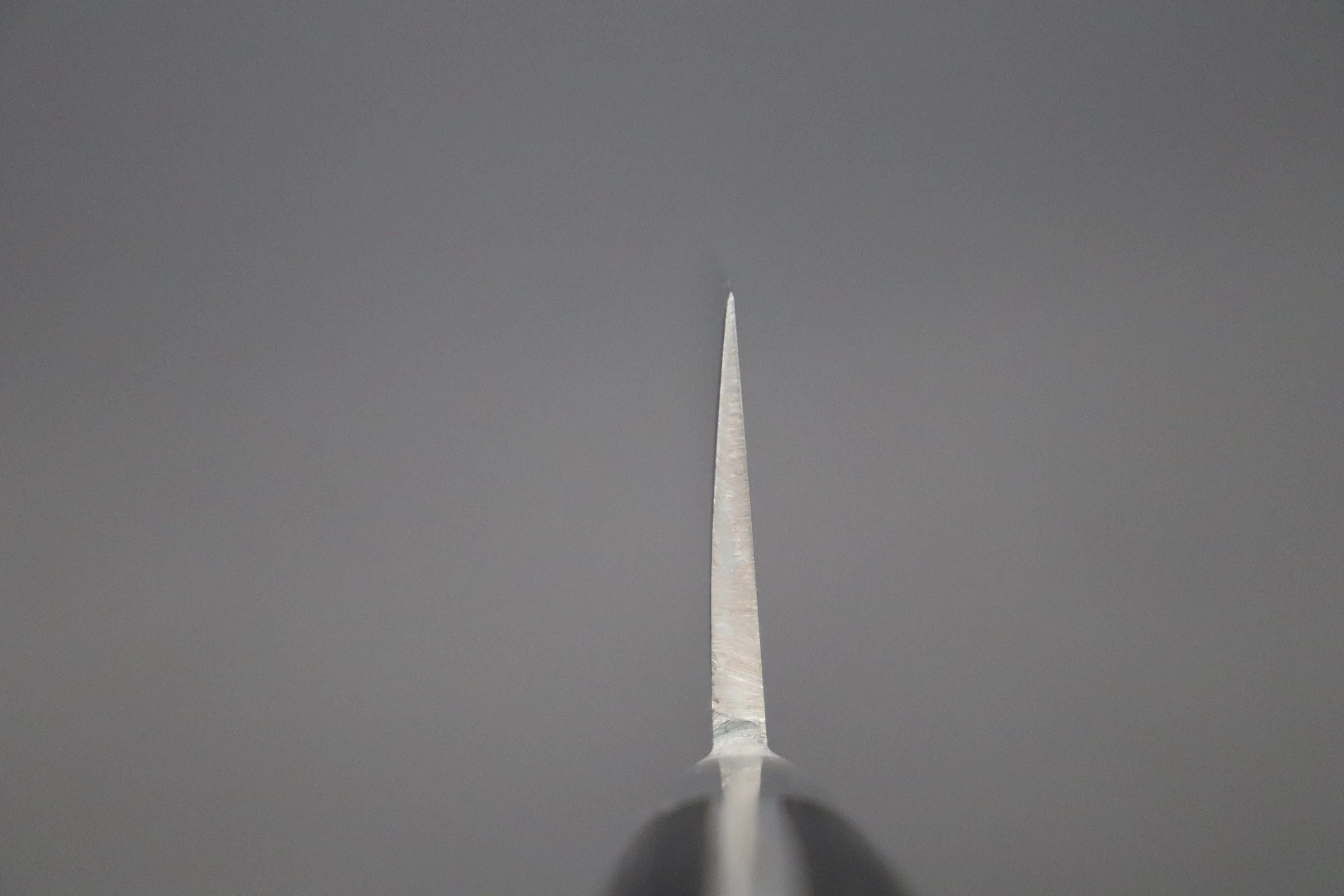Fujiwara Kanefusa FKM Series Western Deba (210mm and 240mm, 2 sizes)