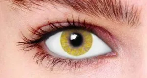 Hazel Tone 1 Contact Lenses (90 days)