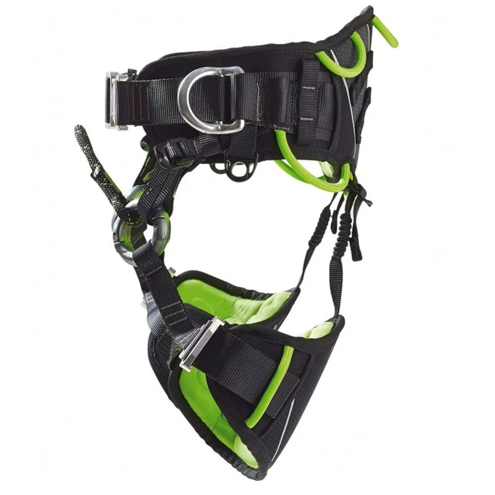 Koala Tree Climbing Harness