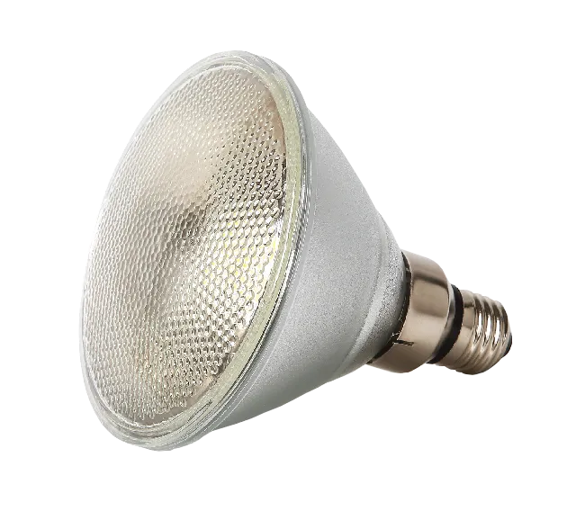 PAR30 Spot Lamp - 11W