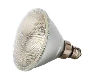 PAR30 Spot Lamp - 11W