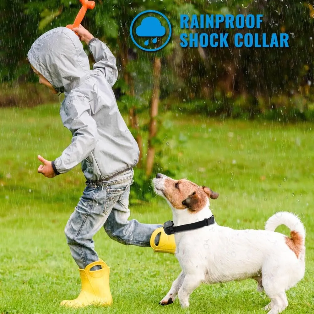 Petrainer Remote Electric Rainproof Dog Training Collar With LCD Display